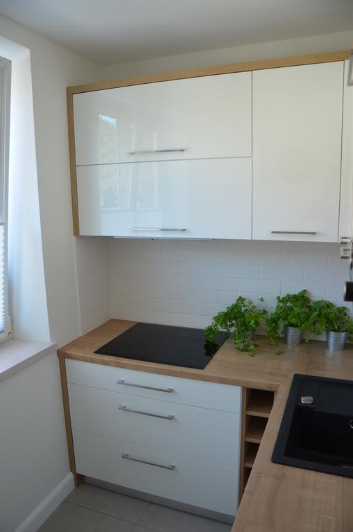 Apartament Na Starowce Grobla I 그단스크 객실 사진